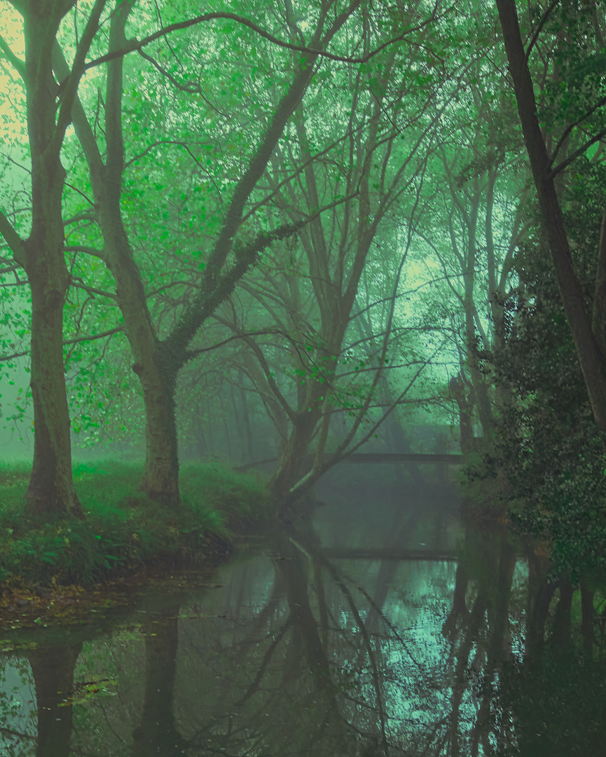  mist in the morning in Ibaizabal