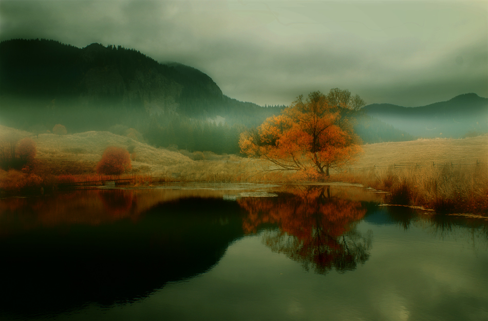 Mist over Chaira Lake, Rodopi