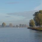 Mist over de Maas