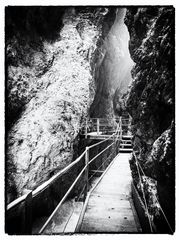 Mist Taken Path