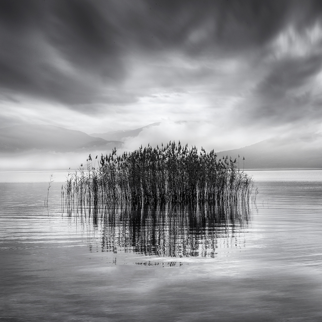 Mist Upon the Lake