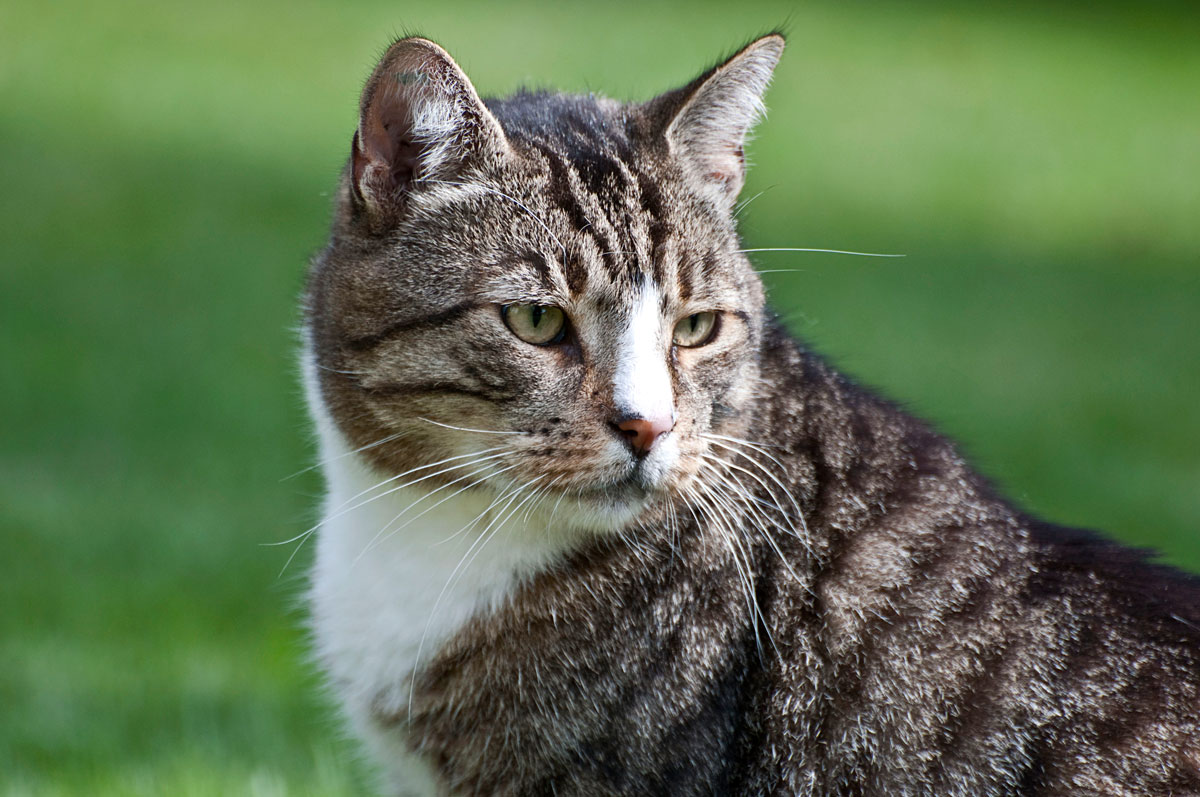 Mister Big hat etwas entdeckt...