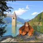 Mister Monk am Reschensee