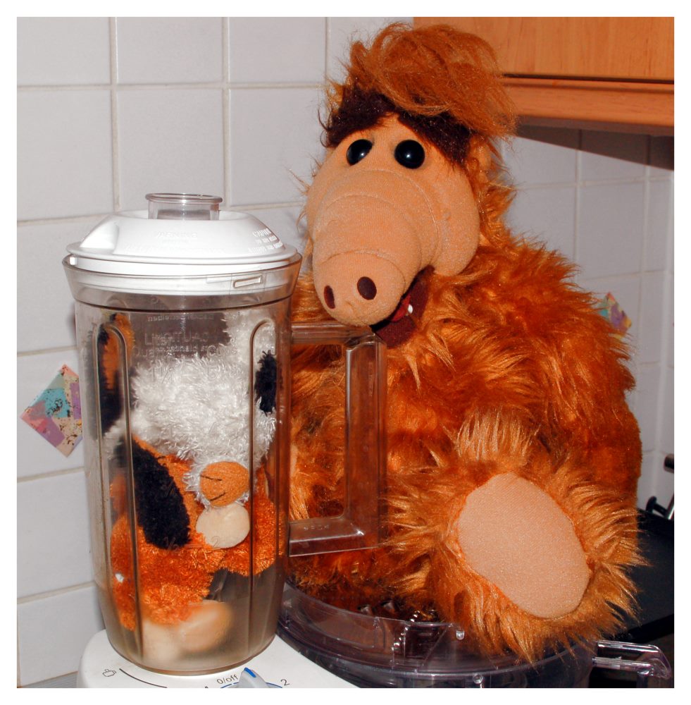 Mister Shumway und sein Katzensaft