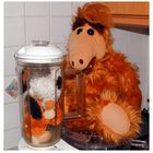 Mister Shumway und sein Katzensaft