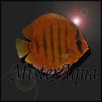 MisterAqua