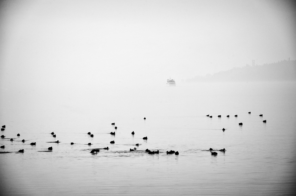 "Mistery Boat" di Francesco Marino