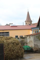 Misthaufen gehört zum Dorf wie die Kirche