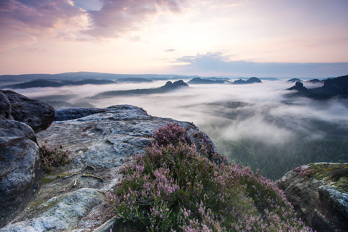 Mists in the morning