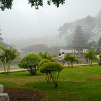 Misty atmosphere in Bedugul