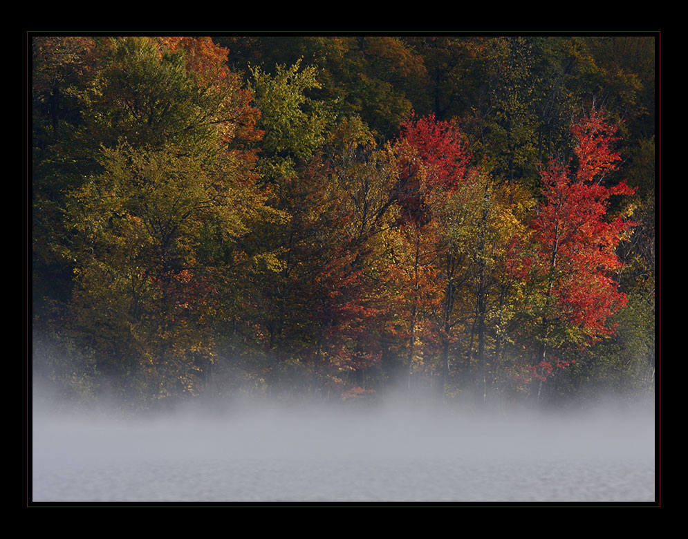 Misty autumn ...