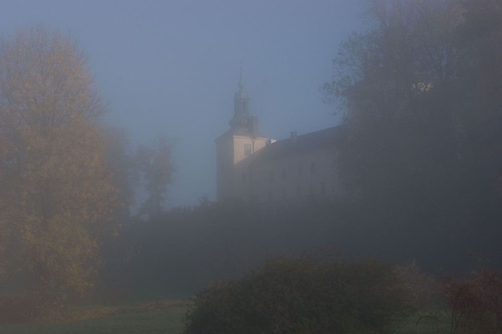 Misty castle