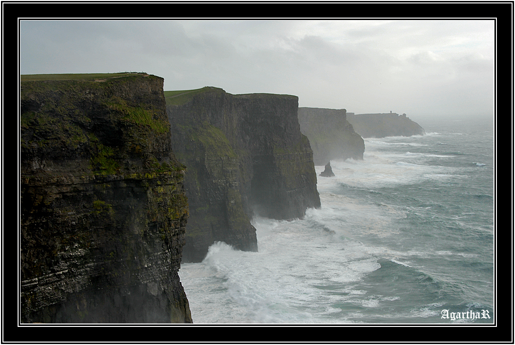 Misty Cliff's of Moher