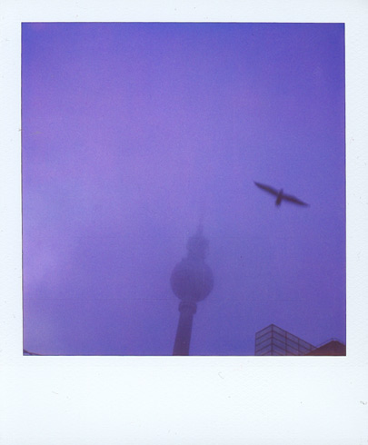 misty evening in berlin