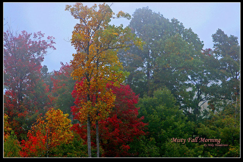 Misty Fall Morning.