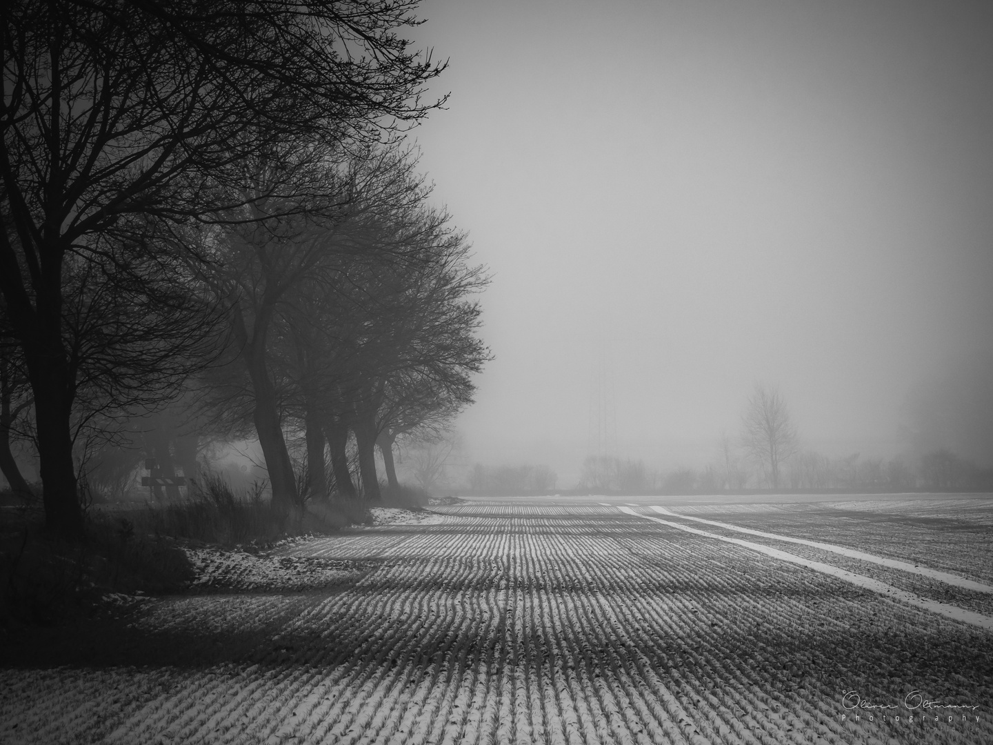 Misty Field