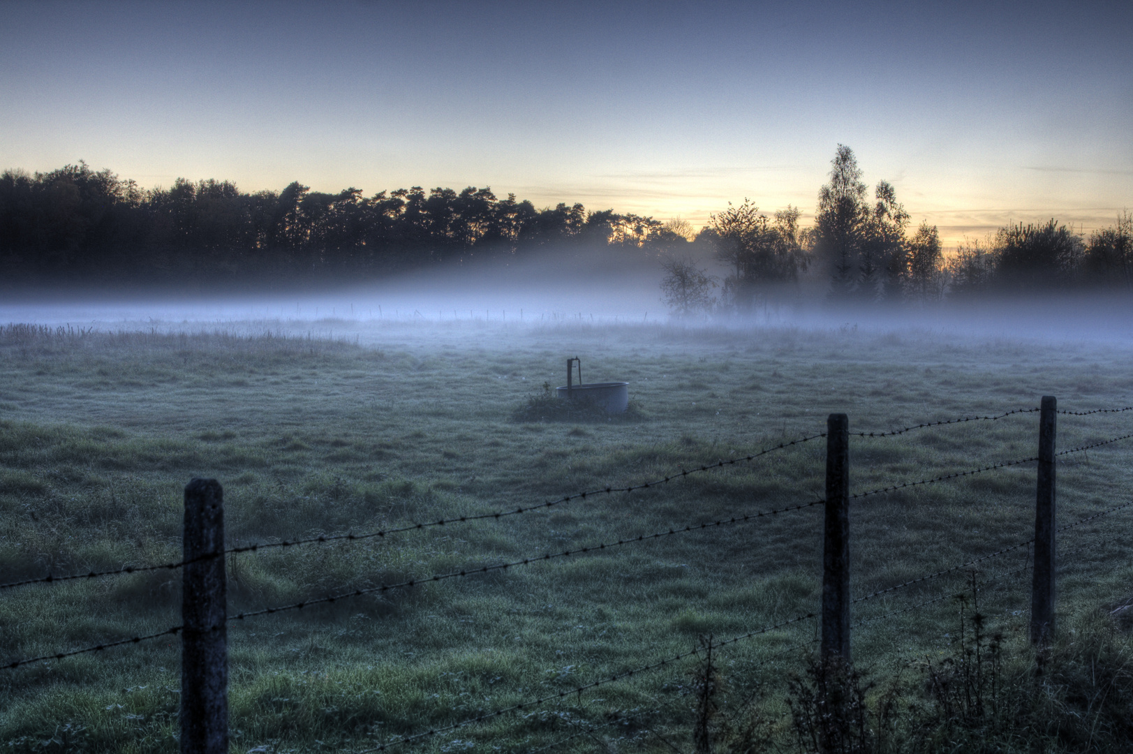 Misty Field