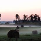 Misty Field