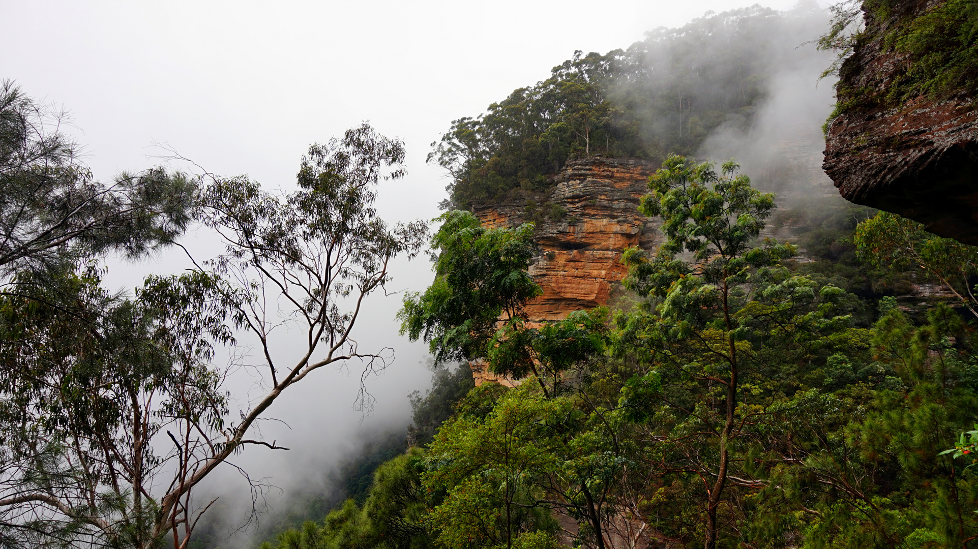 Misty Formations