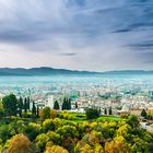 Misty Granada