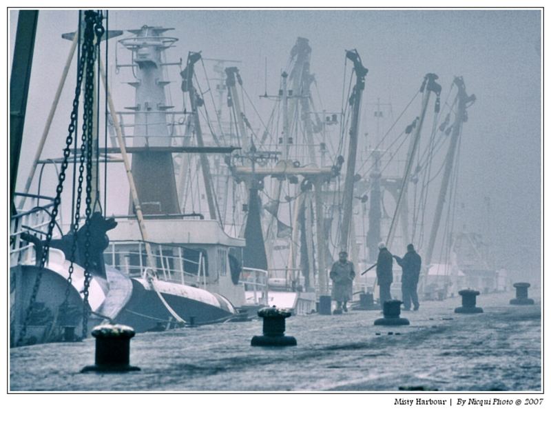 Misty Harbour