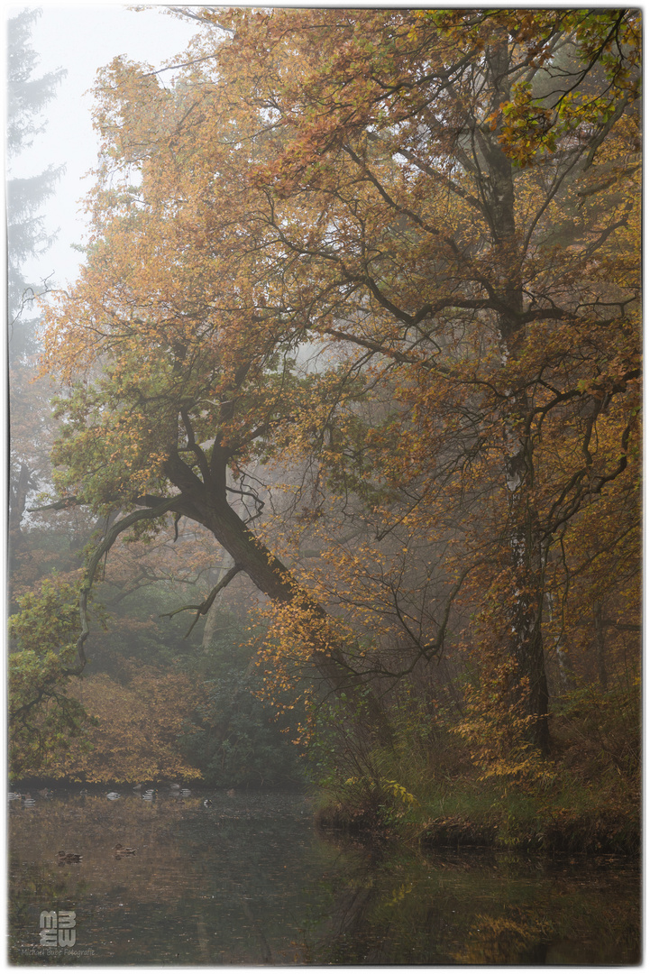 Misty Höpkens Ruh I