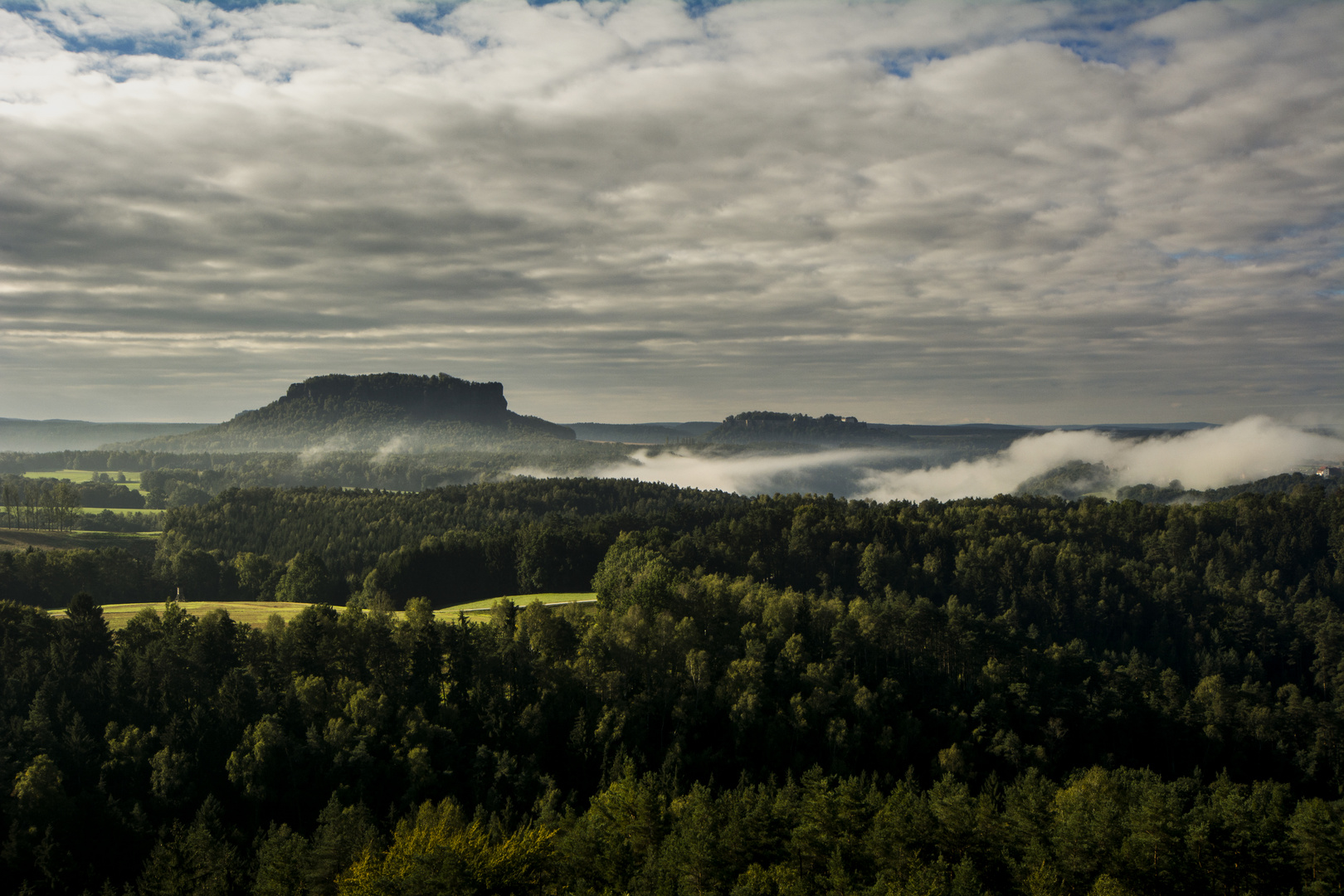 Misty Land