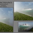 MISTY MERCHANT - EIN SCHIFF WIRD KOMMEN