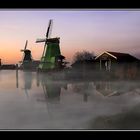 misty mills