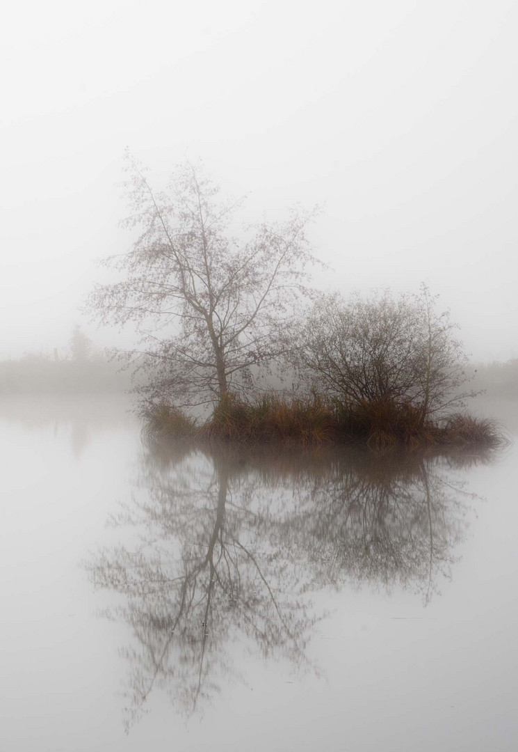 misty moment - vallé de la Somme