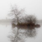 misty moment - vallé de la Somme