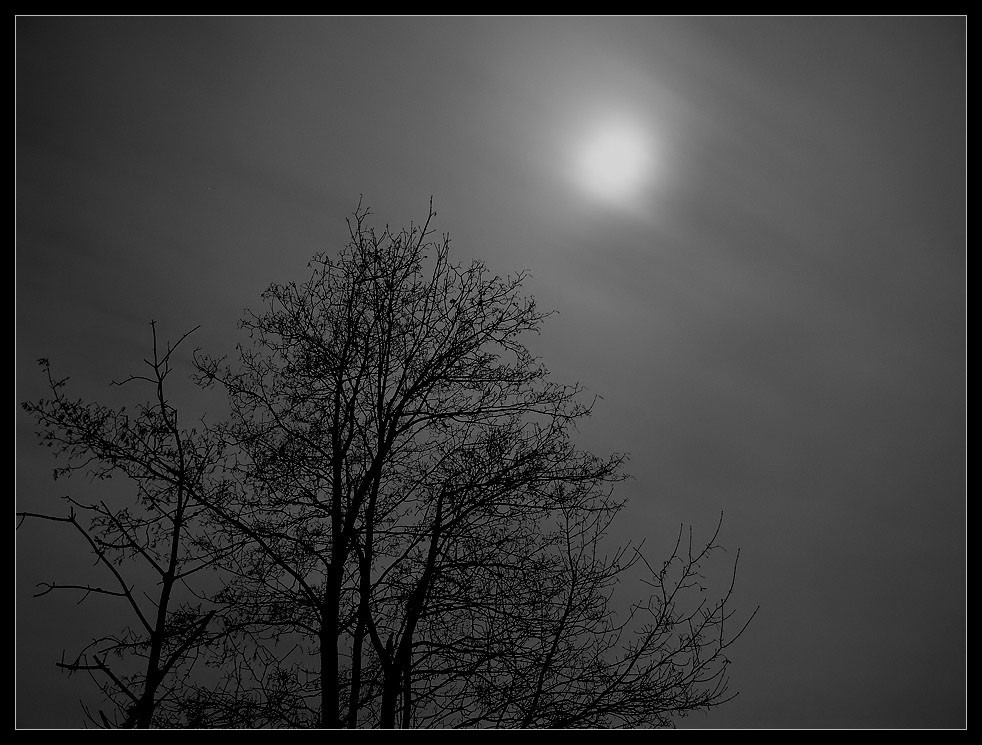 Misty Moon