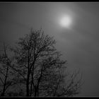 Misty Moon