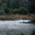 misty moor