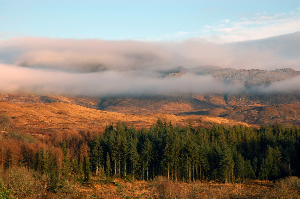 misty morn