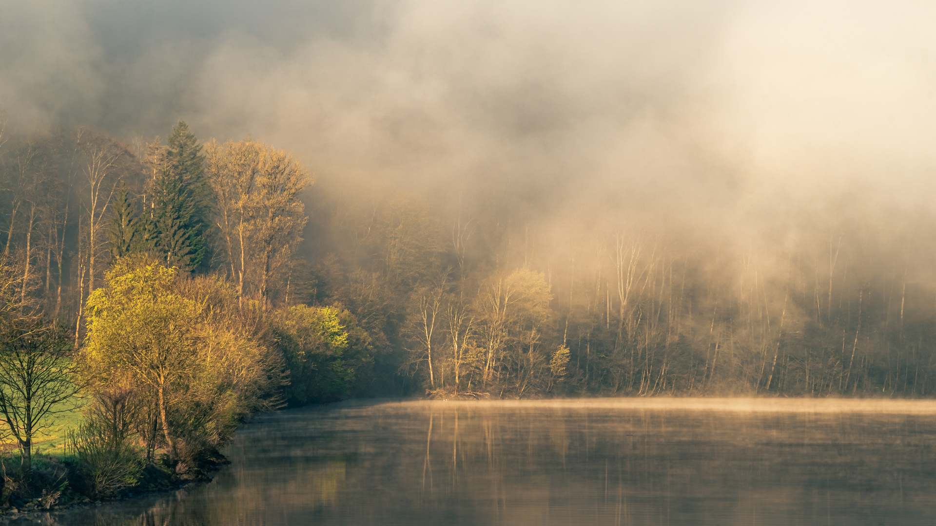 Misty Morning