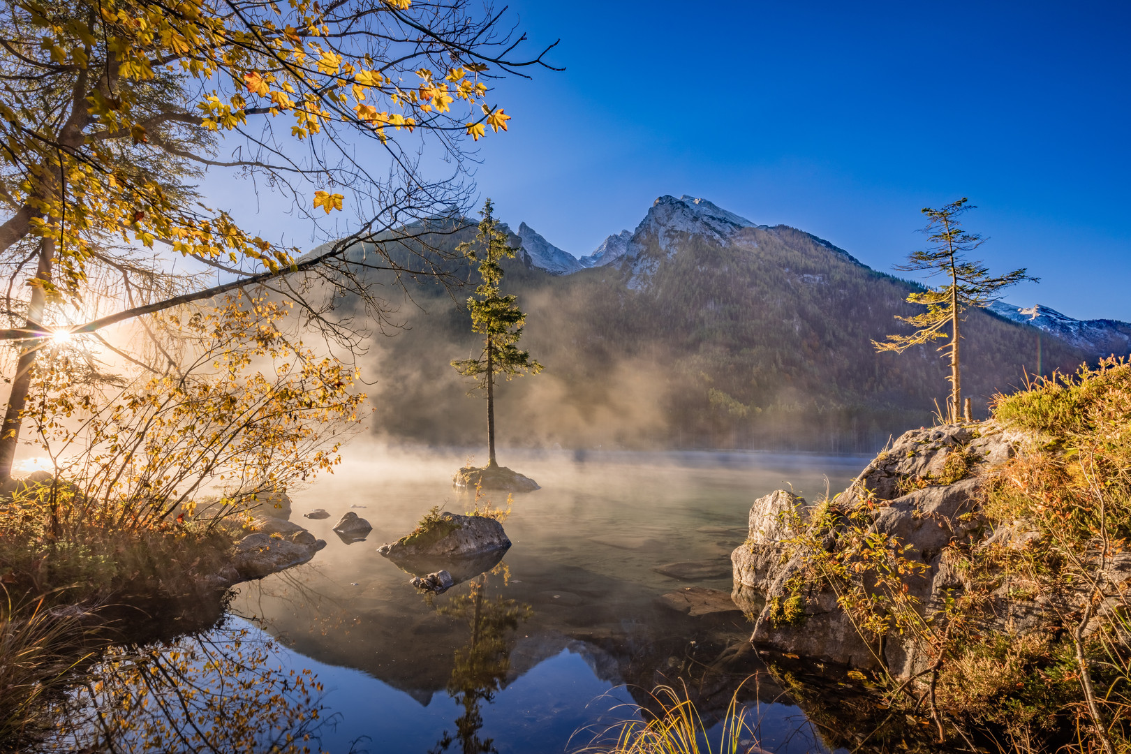 Misty Morning