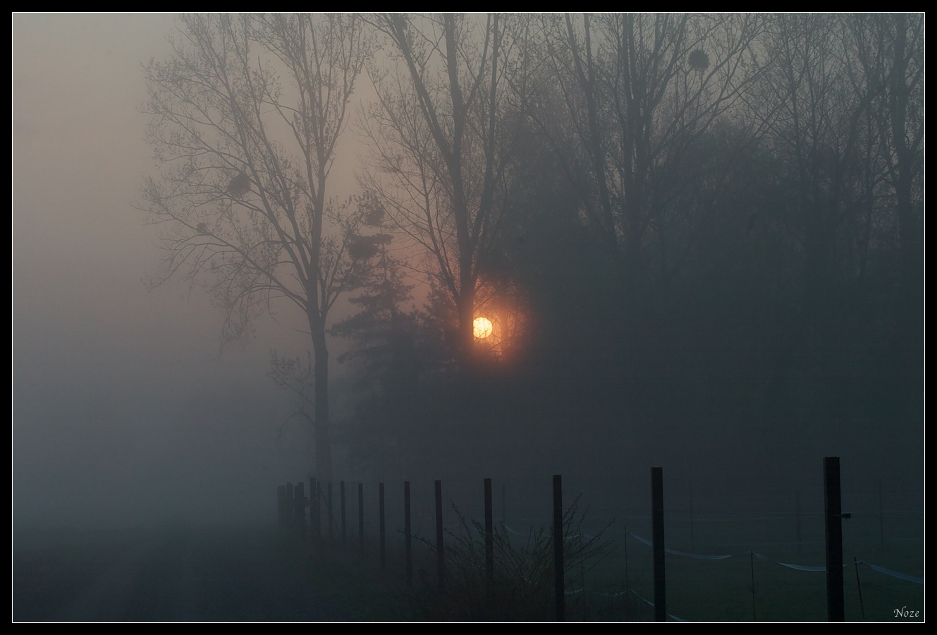 Misty morning