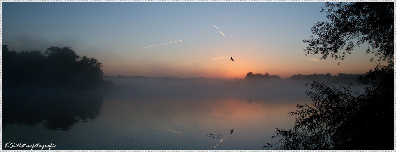 Misty Morning 