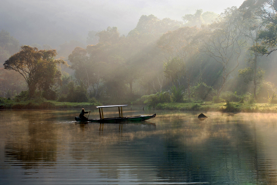 " Misty Morning "