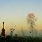 Misty Morning