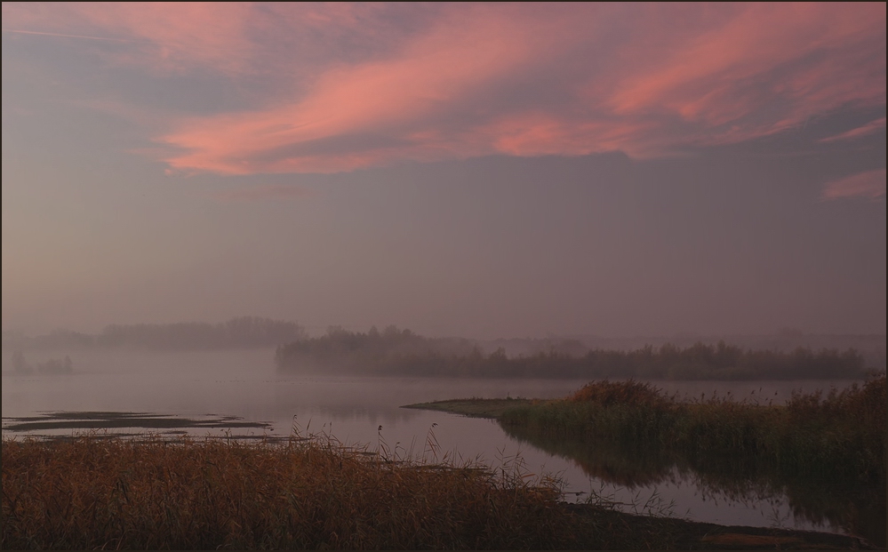 Misty Morning #2