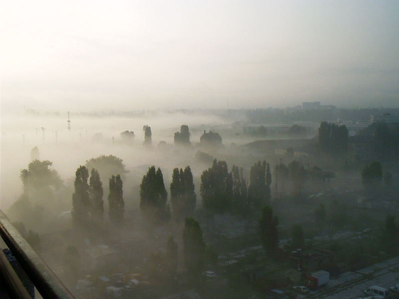 Misty morning