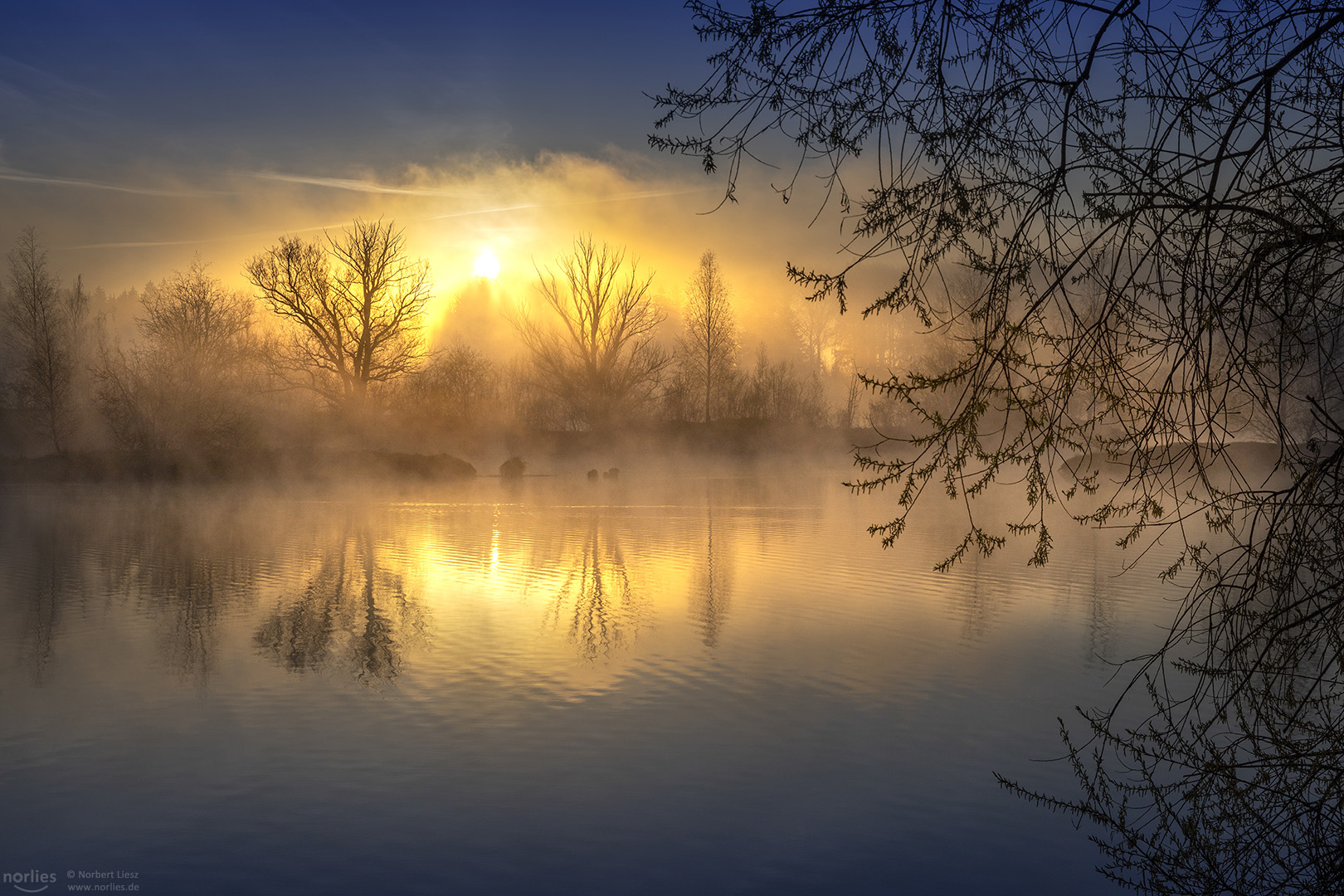 Misty morning