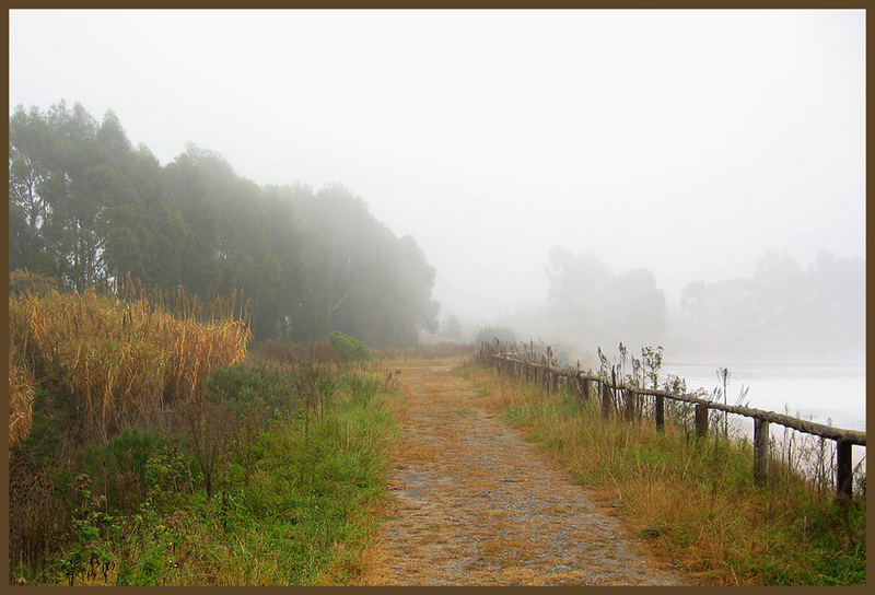 Misty morning