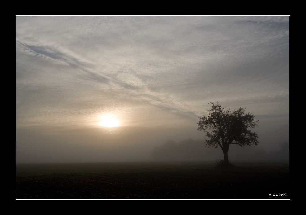 Misty Morning