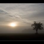 Misty Morning