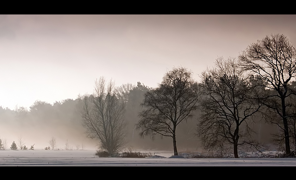 Misty Morning.