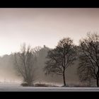 Misty Morning.