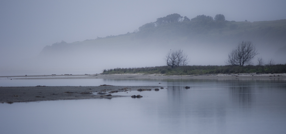 Misty Morning